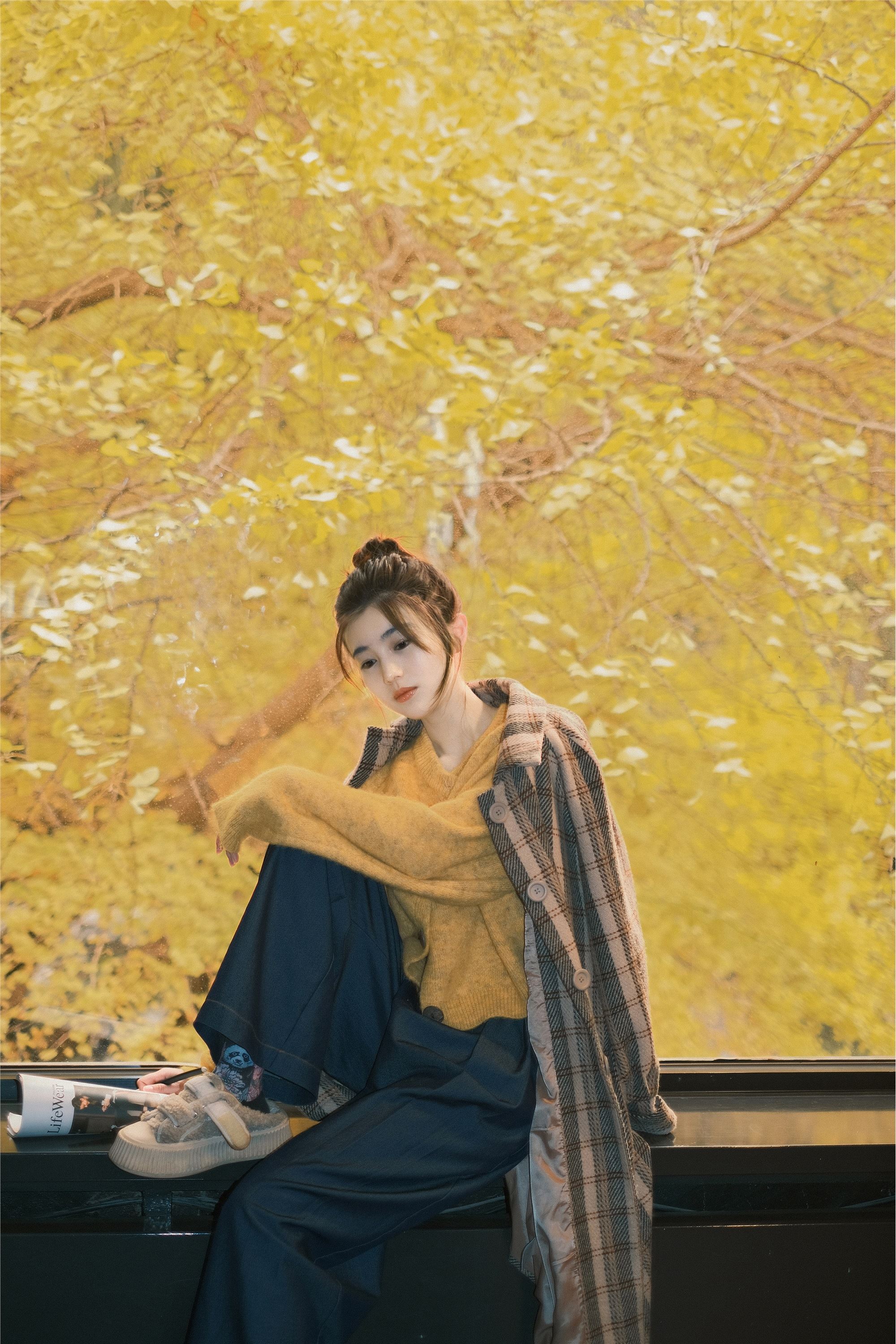 YITUYU艺图语 2025.01.26 窗边秋色 凡凡